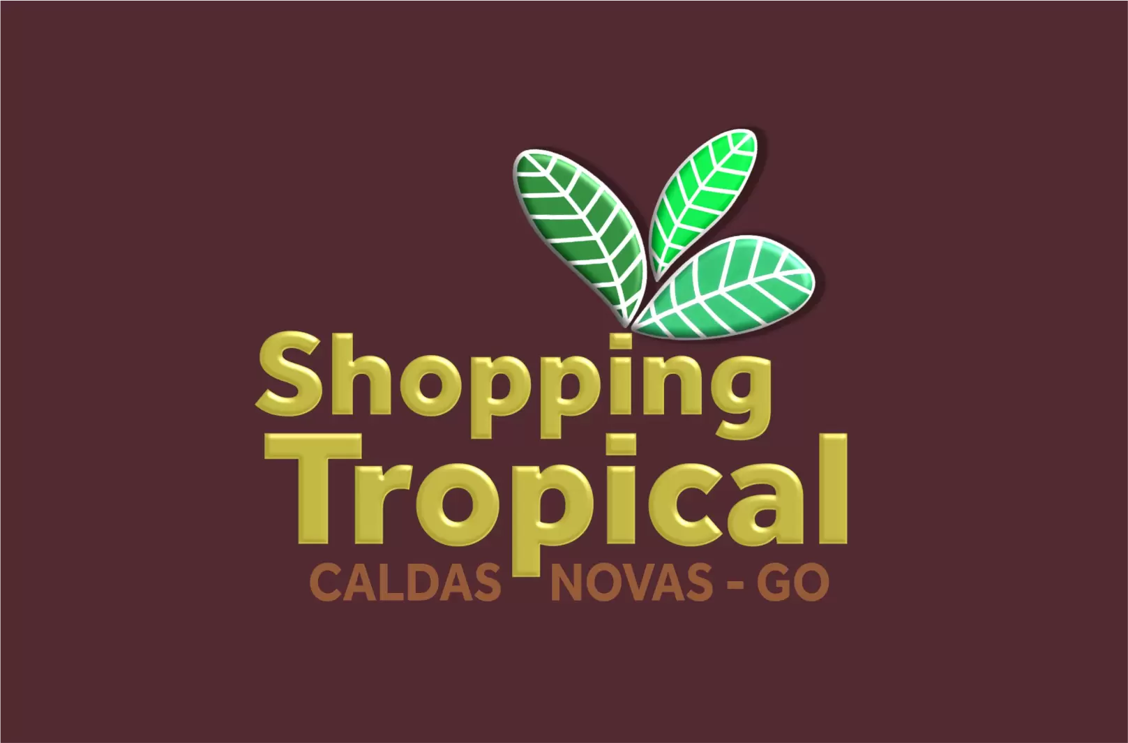 shopping